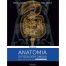 Anatomia si fiziologia omului: Modele didactice pentru liceu si admitere la facultate (ed. tiparita)