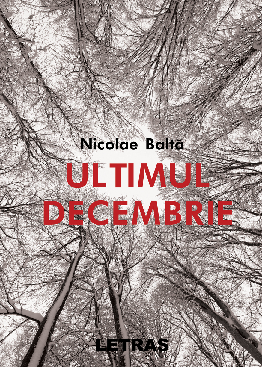 Ultimul decembrie - Nicolae Baltă - Editura Letras