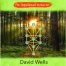 Cabala pe intelesul tuturor - David Wells - Editura Prestige